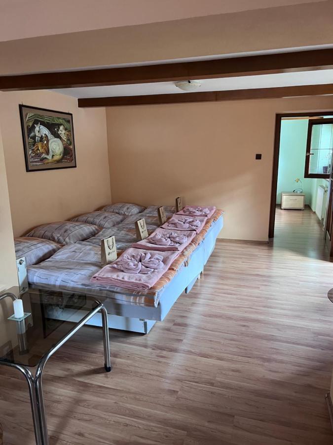 Appartamento Dafinka Banská Bystrica Esterno foto
